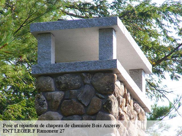 Pose et répartion de chapeau de cheminée  bois-anzeray-27330 ENT LEGER.F Ramoneur 27