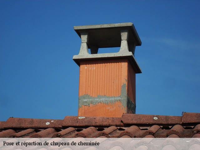 Pose et répartion de chapeau de cheminée