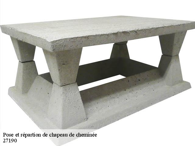 Pose et répartion de chapeau de cheminée 27190