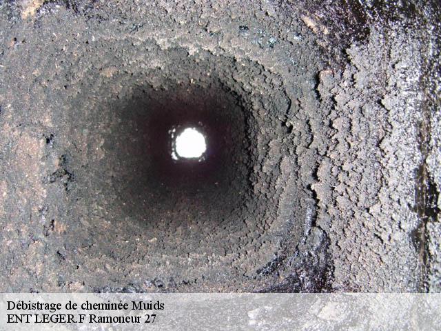 Débistrage de cheminée muids-27430 ENT LEGER.F Ramoneur 27