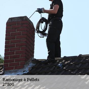 Ramonage à Pellets  27800